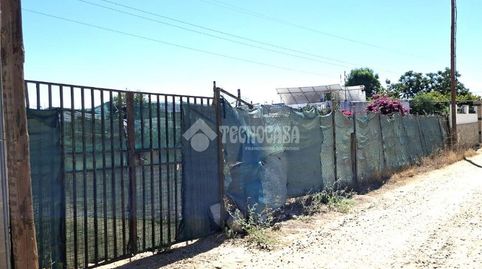 Foto 5 de Finca rústica en venta en Almensilla, Sevilla