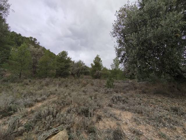 Terreno en Venta en N/A, -1 en La Fresneda