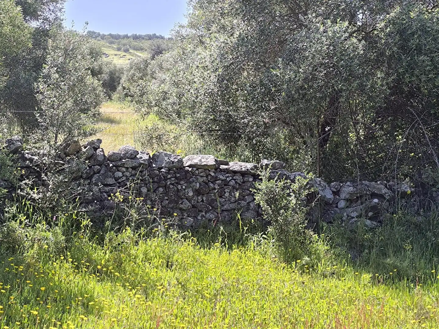 Terreni e lotti in vendita a Urbanizacion la Colinas, imagen 20