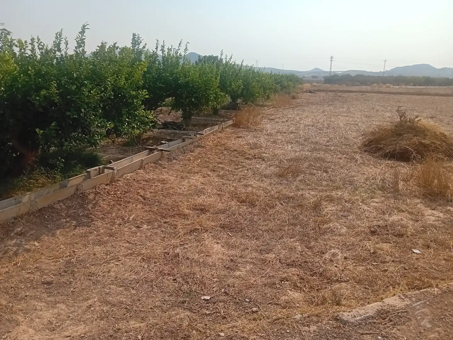 Terrenys i solars en venda a Subida al Plan 18, imagen 10