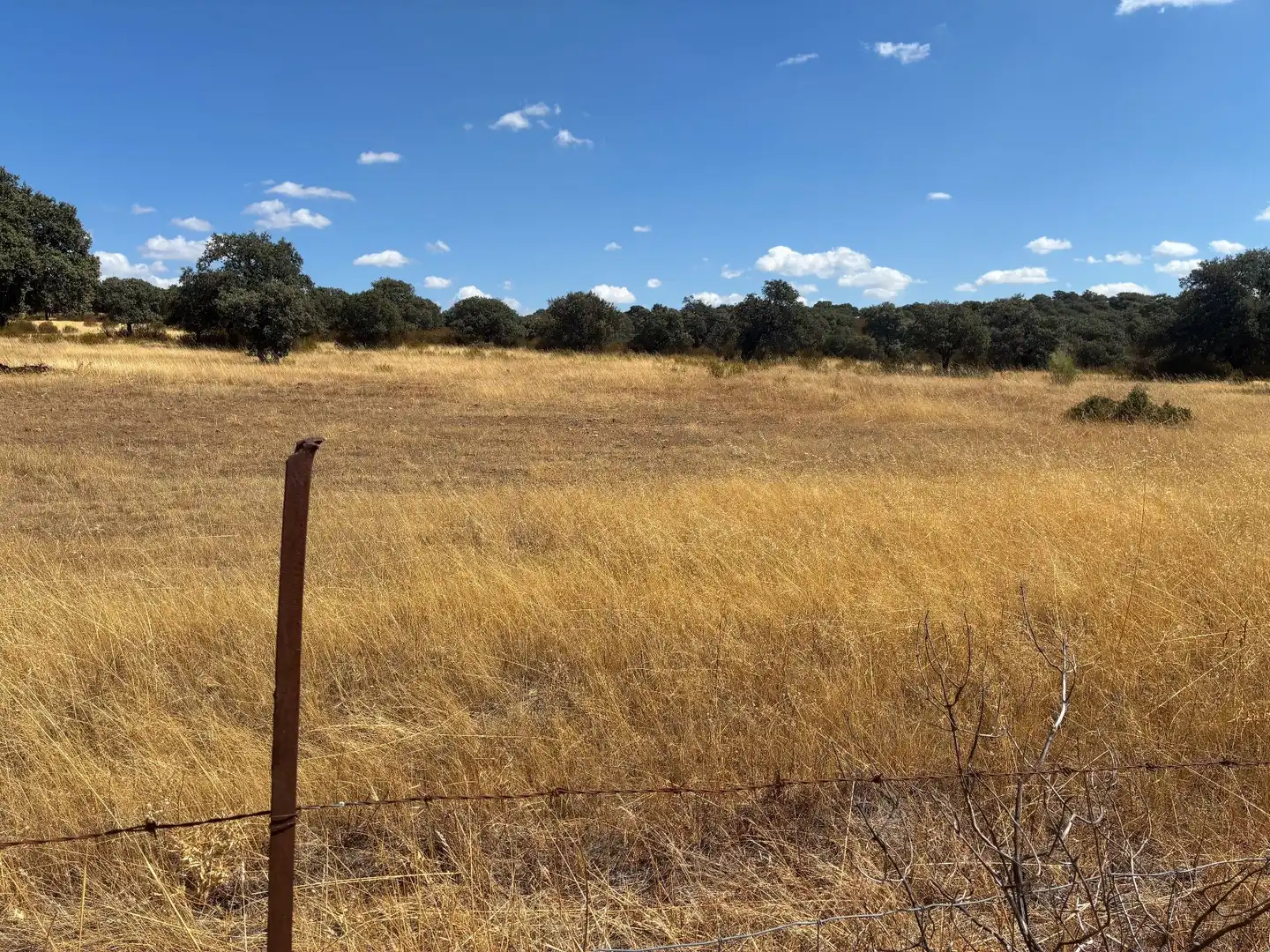 Terreno rustico in vendita a Mohedas de la Jara, imagen 16