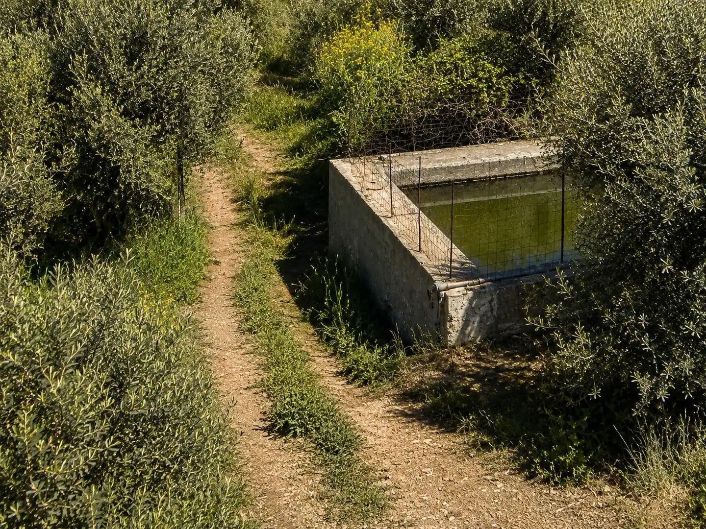 Finca rústica en venta en Monachil pueblo