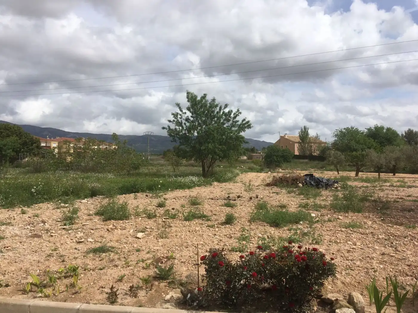 Terreny residencial en venda a Algueña, imagen 5
