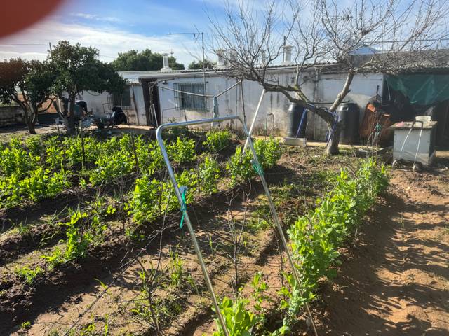 Finca rústica en Venta en Camino del Moral, 3 en La Jara