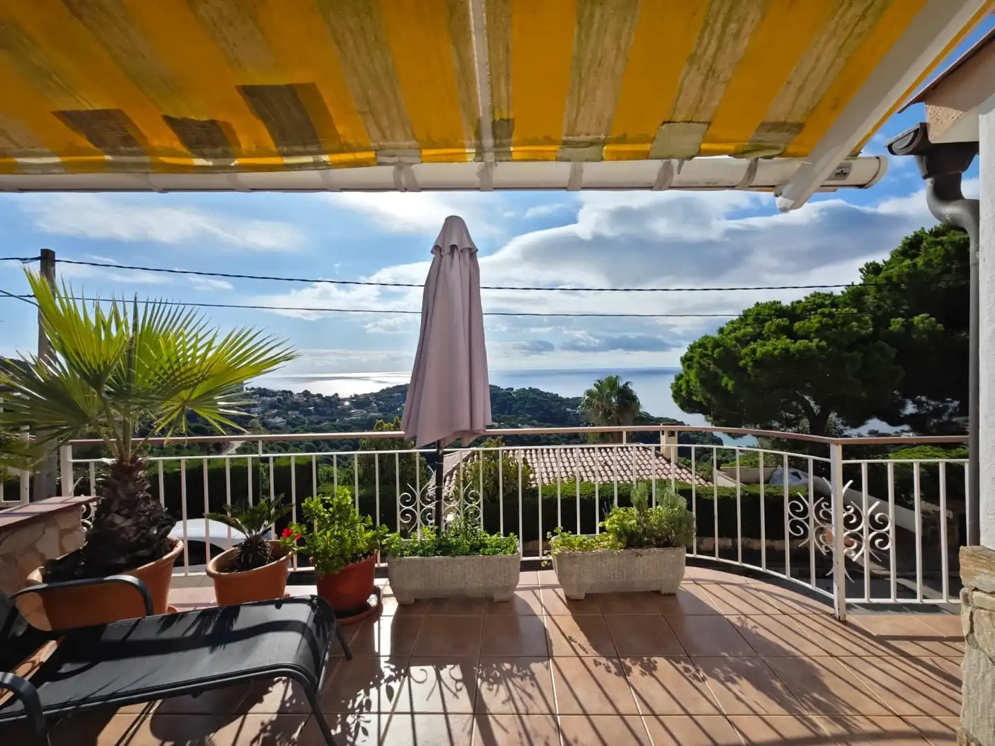 Casa con piscina en venta en Carrer de Montecarlo 43, imagen 12