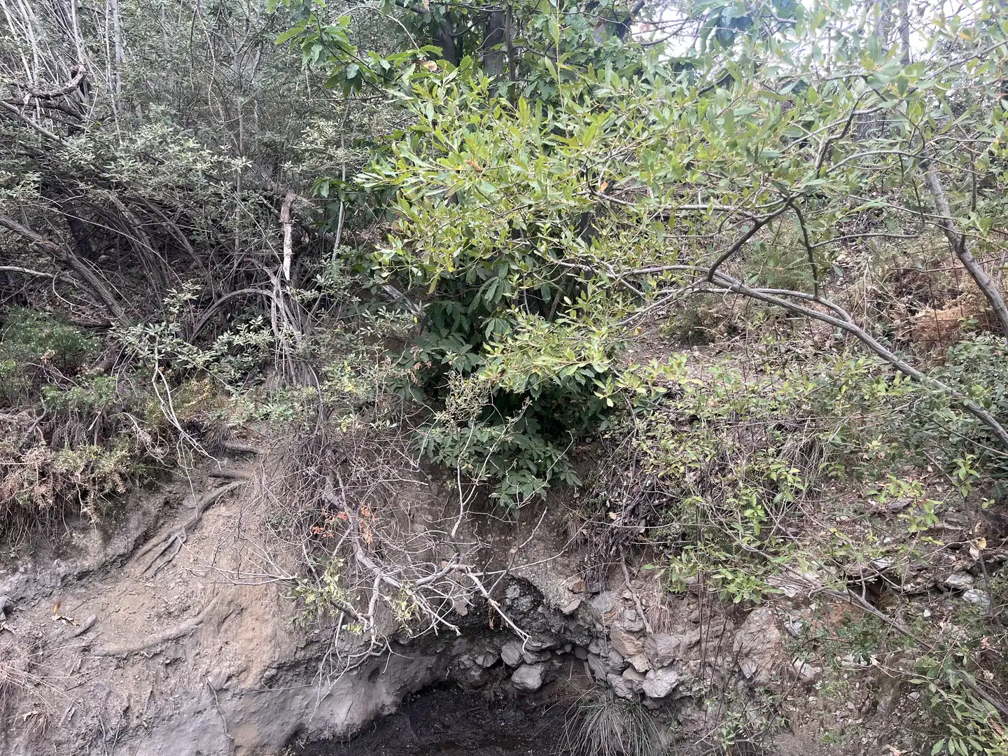 Terreno en venta en La Taha