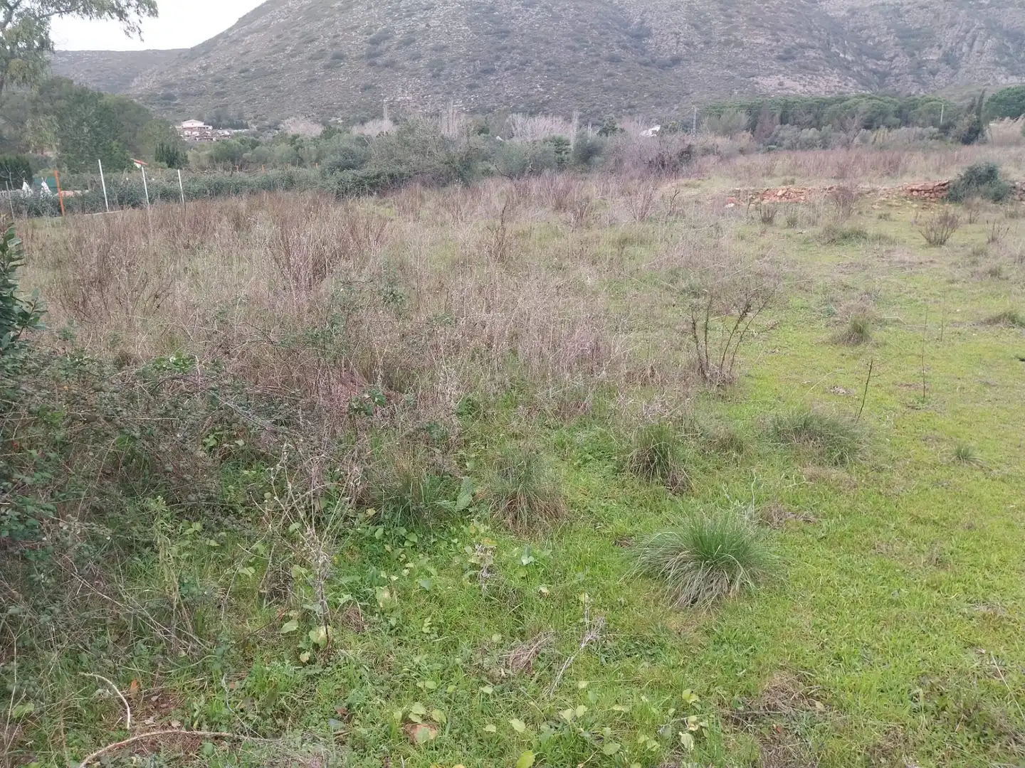 Rural land for sale in Partida la Falaguera, imagen 4