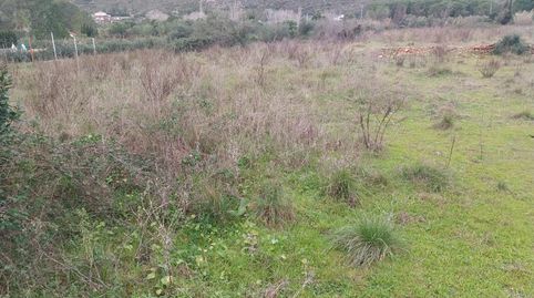 Terreno rustico en Barx, immagine 4