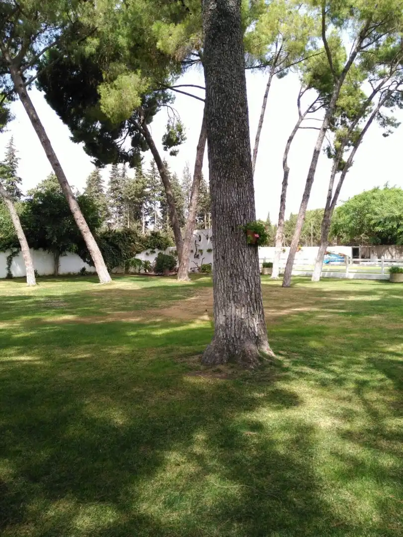 Villa mit Pool zum Verkauf in El Retiro - Parque Atlántico - Ronda este, imagen 8