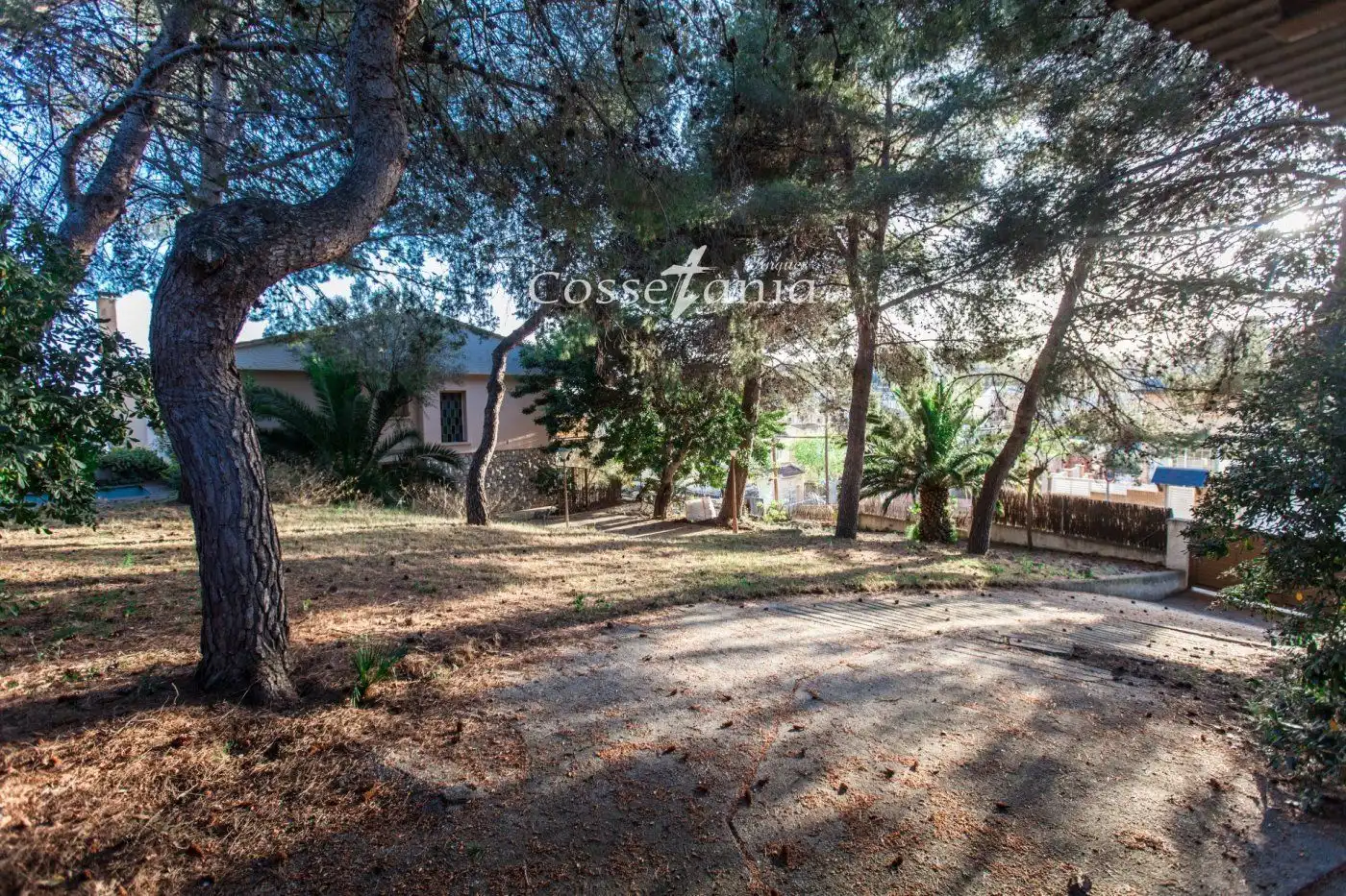 Terrain rustique à vendre à Mèxic, imagen 6