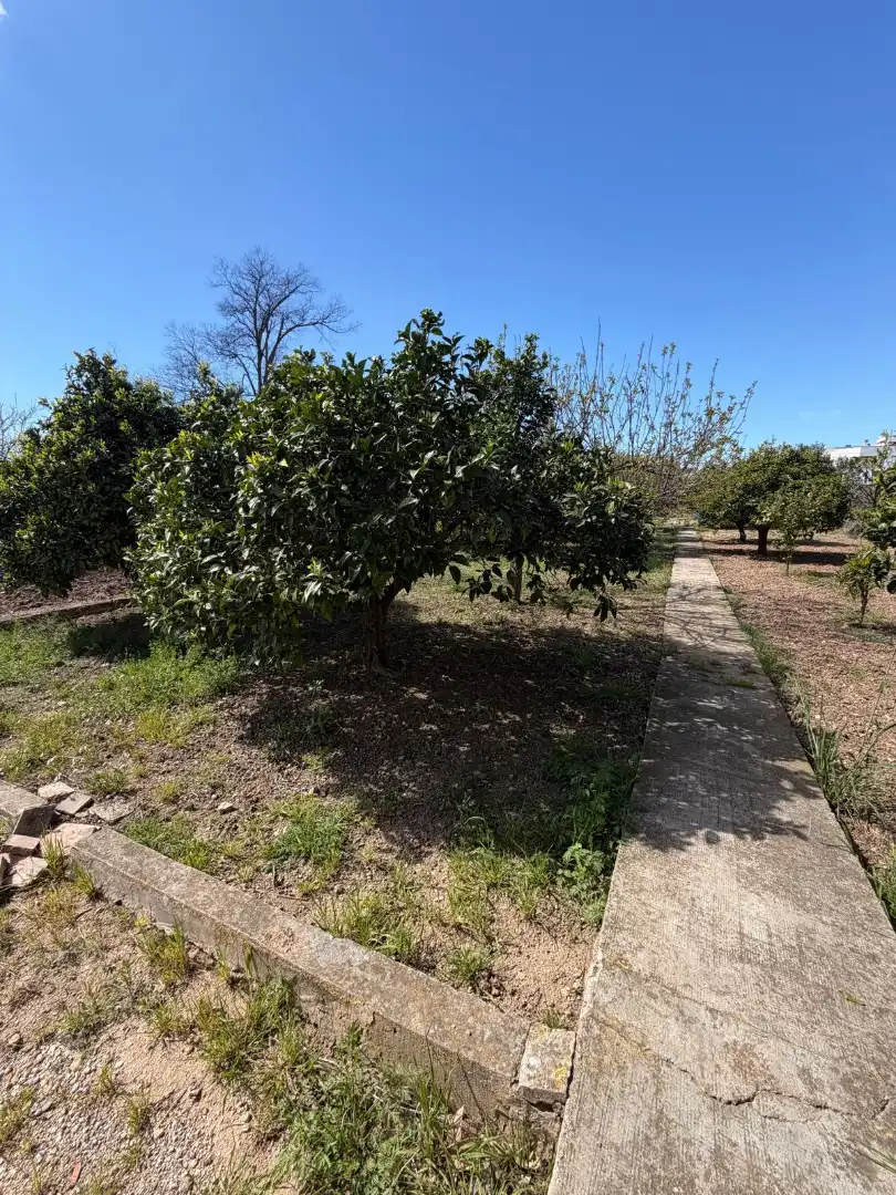 Casa o xalet en venda en Ulldecona amb Jardí privat i Terrassa