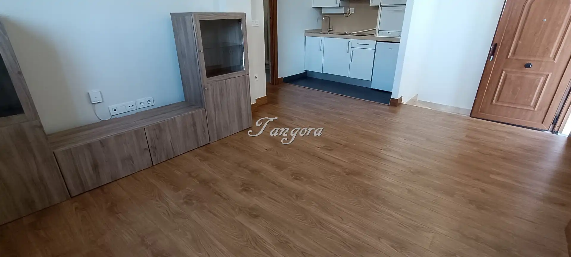 Living room of Apartments for rent in Getxo   with Heating, Parquet flooring and Furnished
