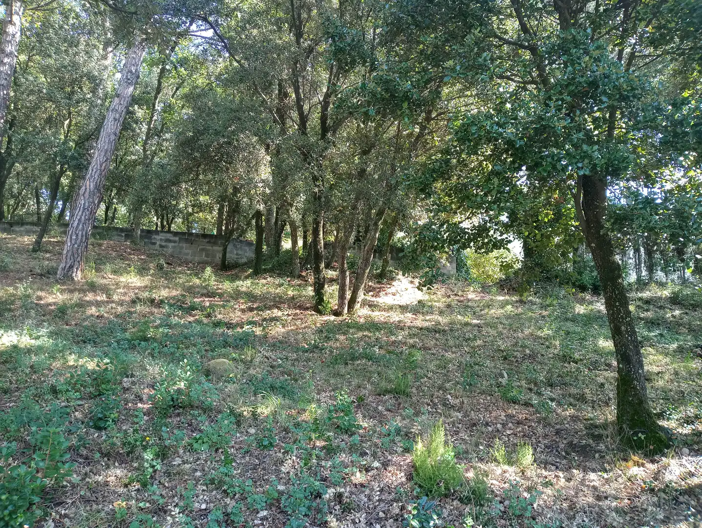 Terreno residencial en venta en Carrer de la Morera, imagen 18