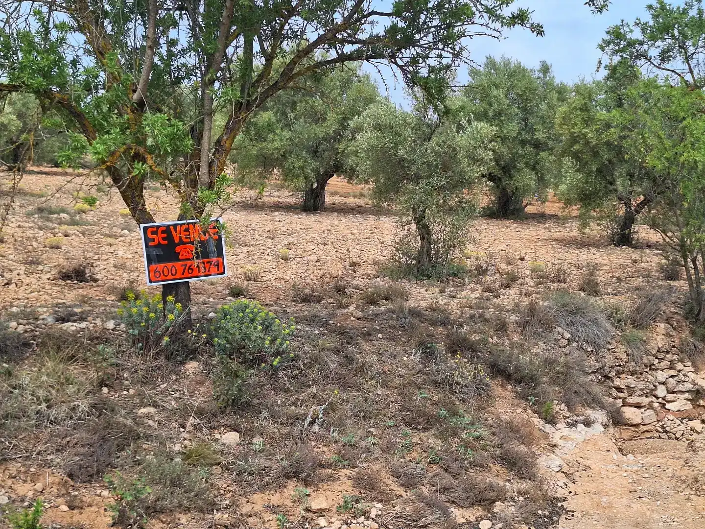 Finca rústica en venda en Beneixama