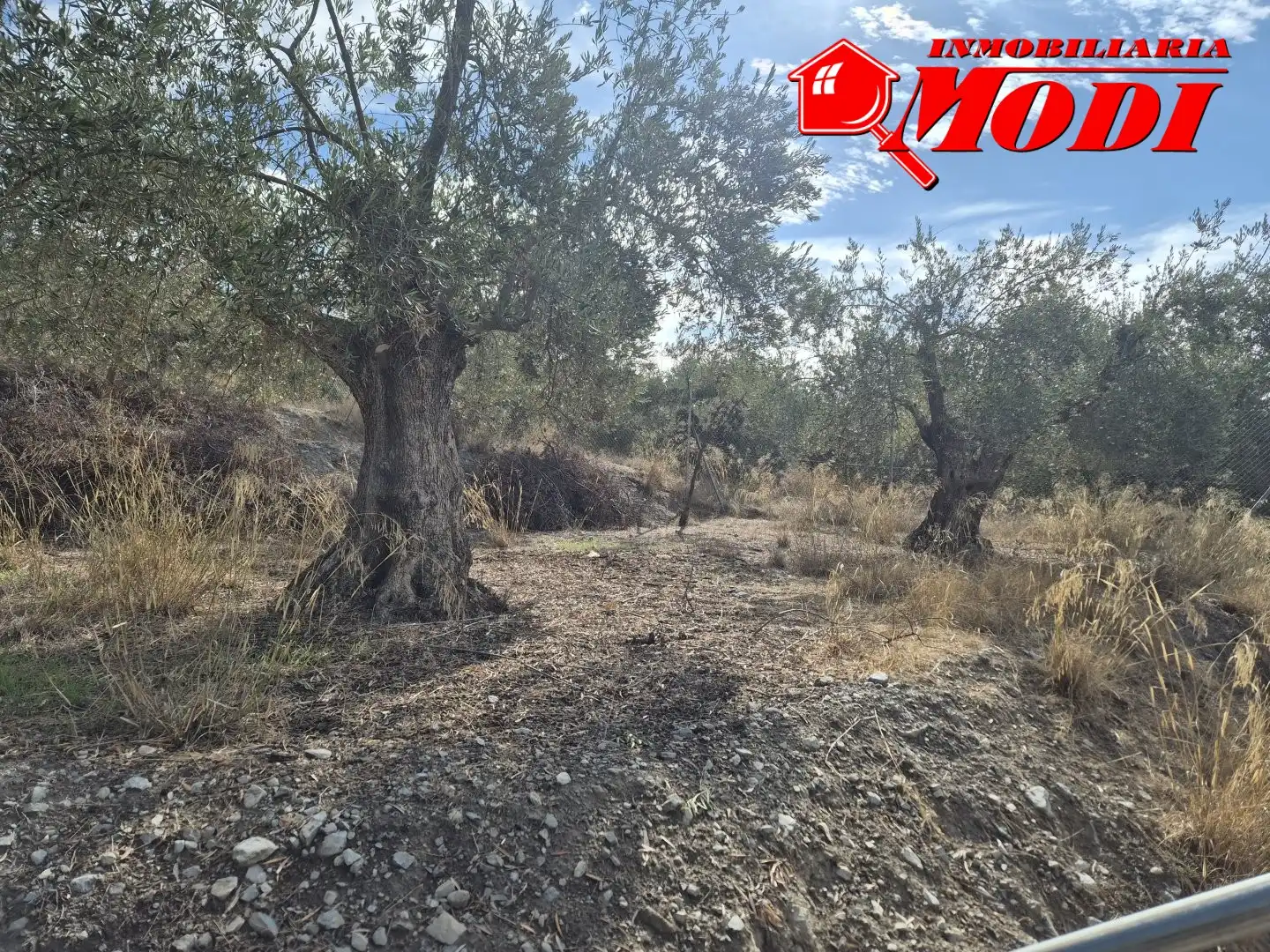 Lands and plots for sale in Dúrcal, imagen 7
