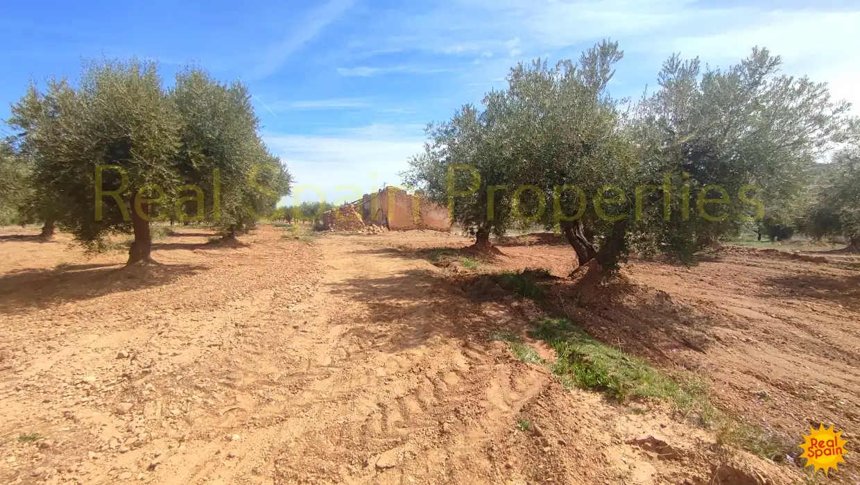 Residential land for sale in Vélez-Rubio, imagen 12