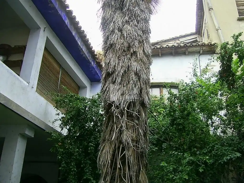 Jardín de Casa o chalet en venta en Sangüesa / Zangoza