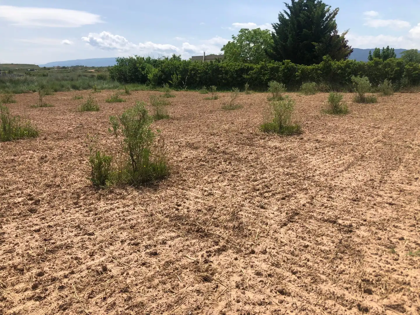 Terreny rústic en venda a Murillo de Río Leza, imagen 7