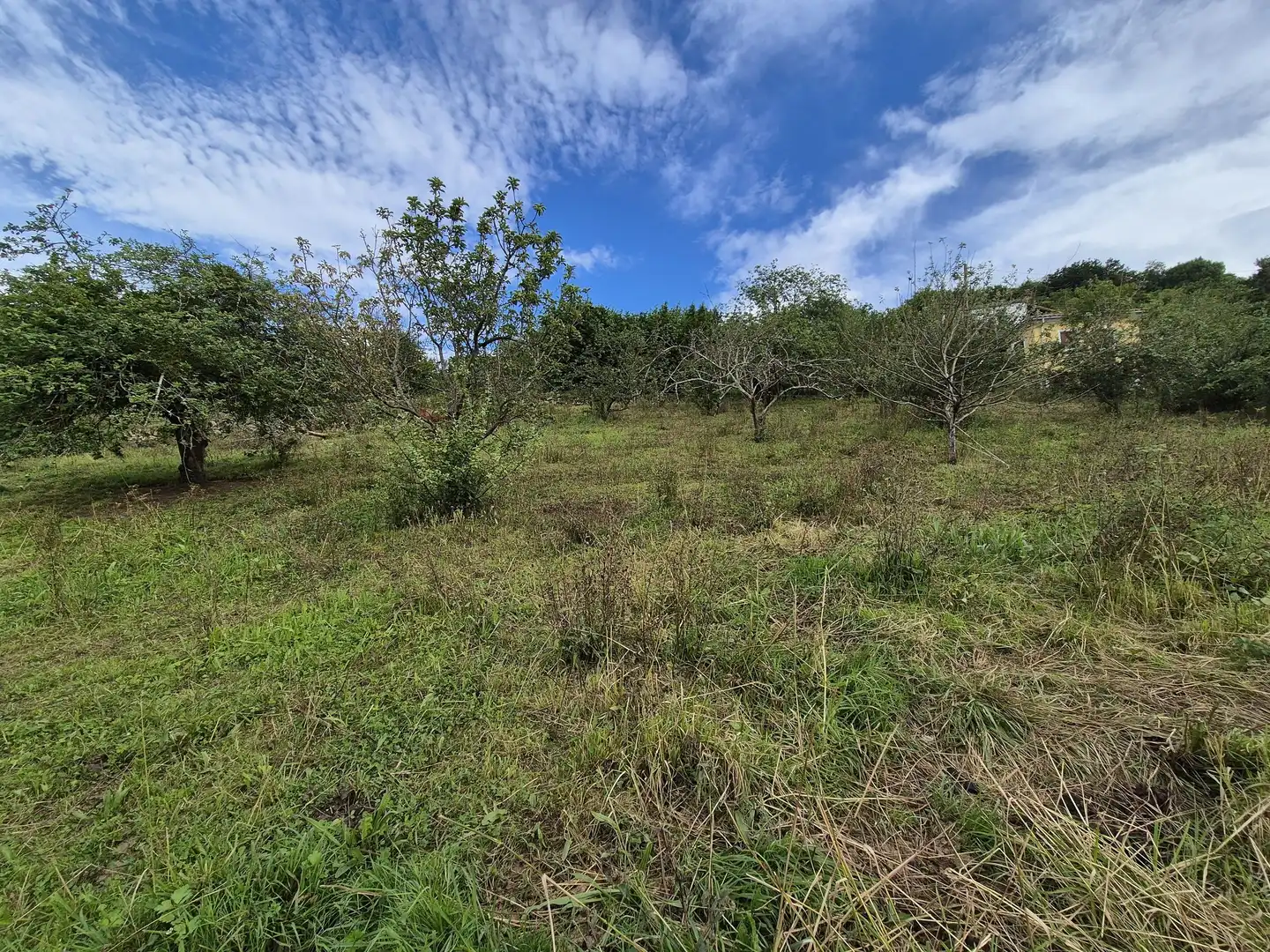 Residential land for sale in Grado, imagen 5