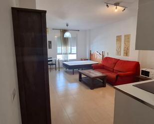 Living room of Study to rent in Málaga Capital  with Air Conditioner, Heating and Furnished