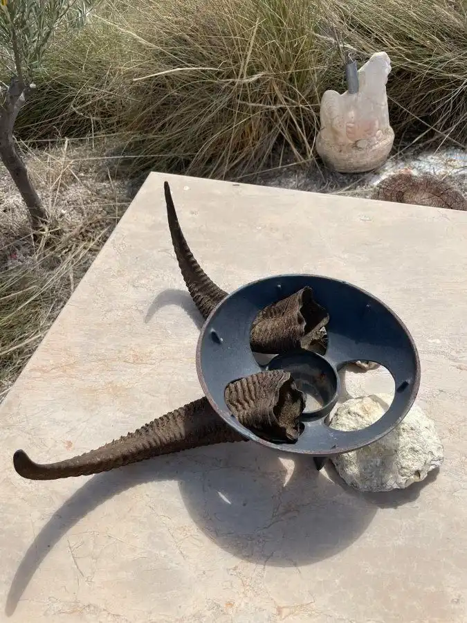 Terreni e lotti in vendita a Pedanías Norte, imagen 14
