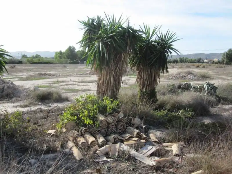 Finca rústica en venda en Novelda