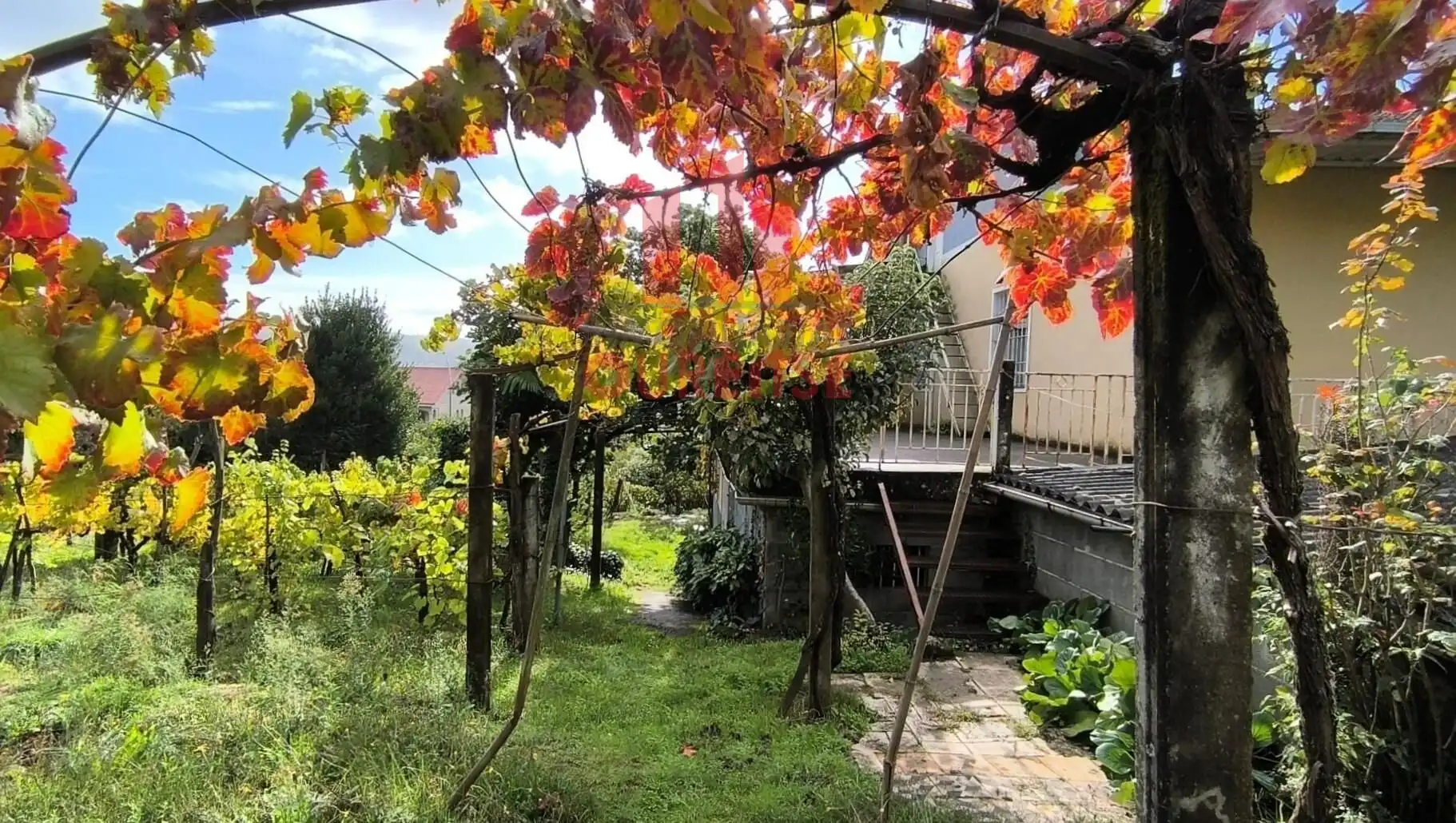 Garden of Houses for sale in Ourense Capital   with Private garden, Terrace and Storage room