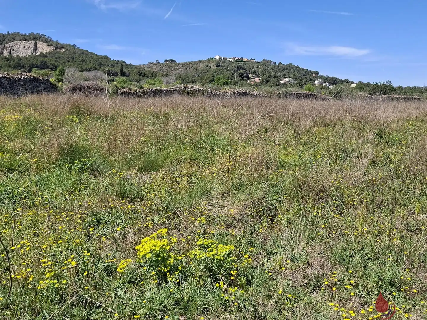 Terrenos y solares en venta en CTRA EL VENDRELL 593, imagen 6