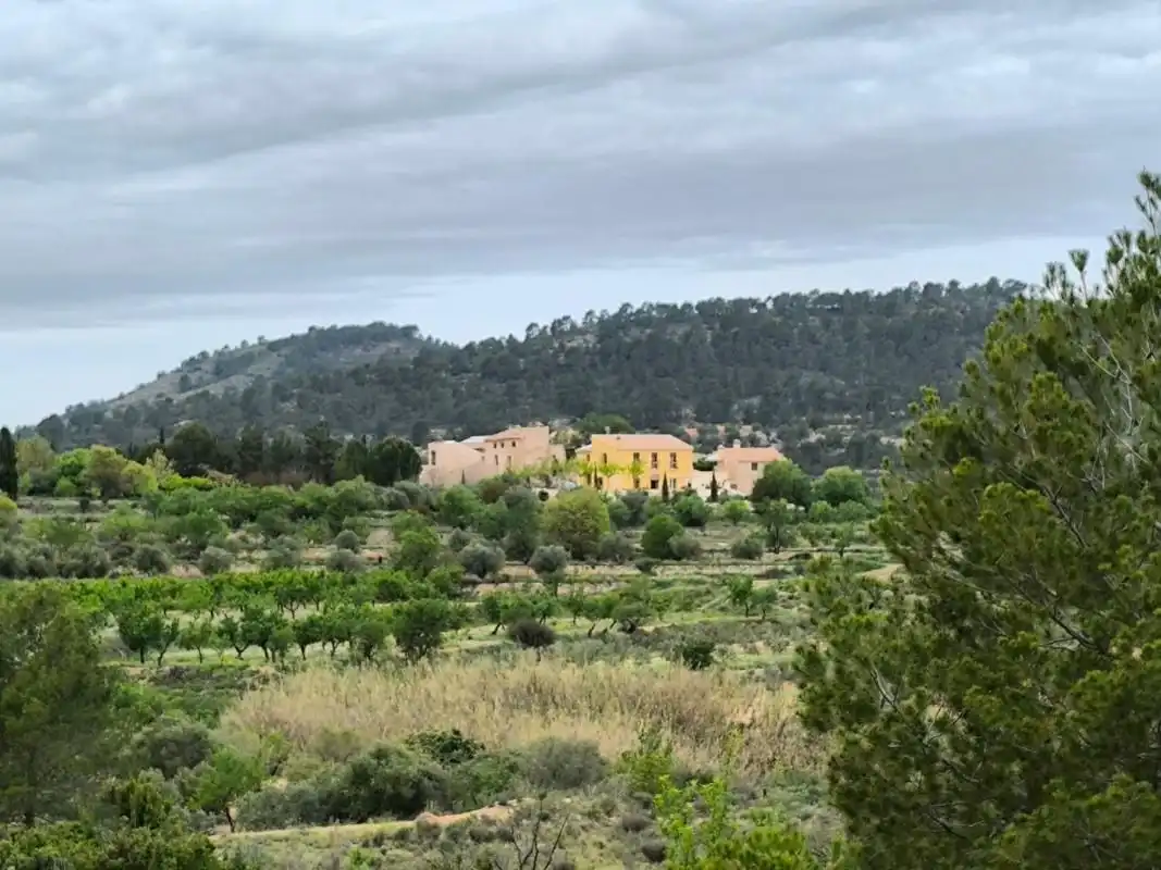 Maison à vendre à Monóvar  / Monòver, imagen 2