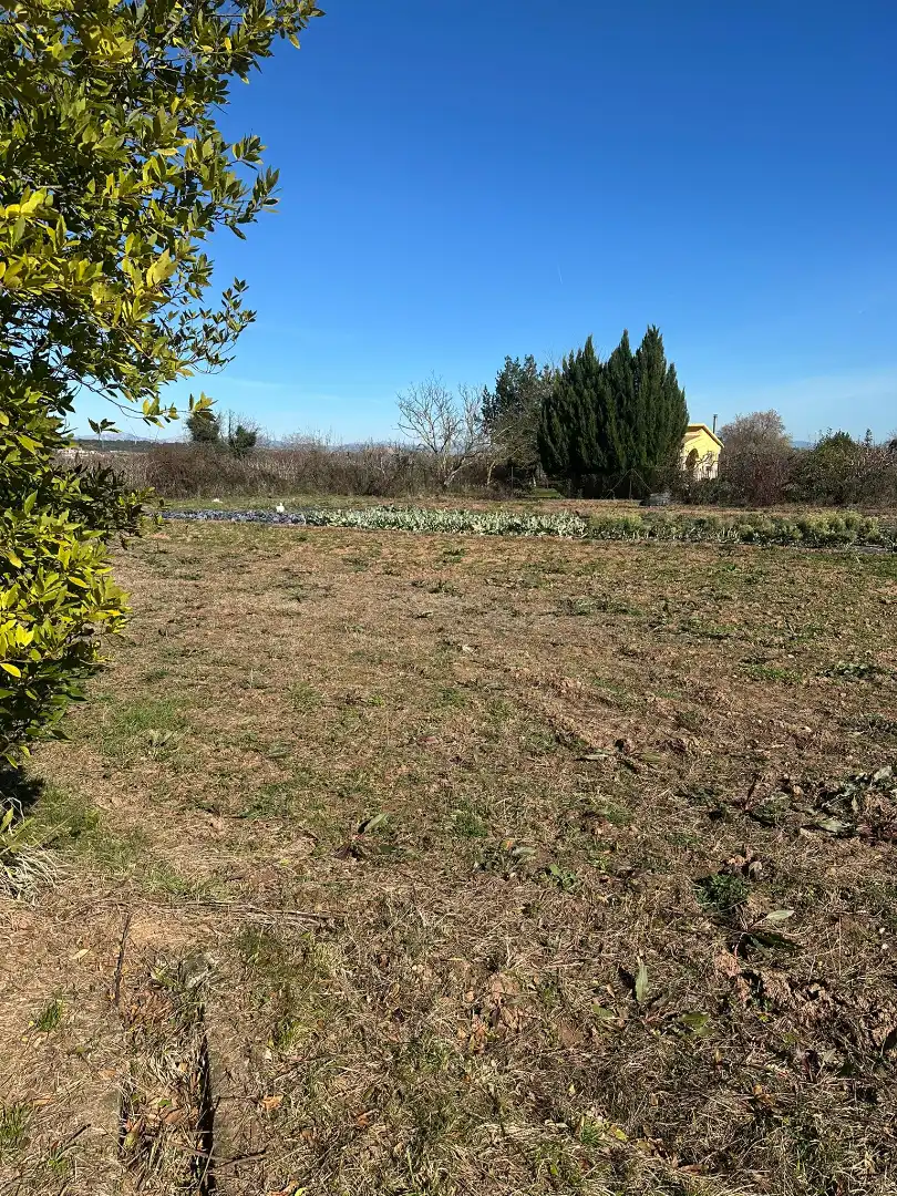 Terreno rústico en venta en Camino Albelda, imagen 10