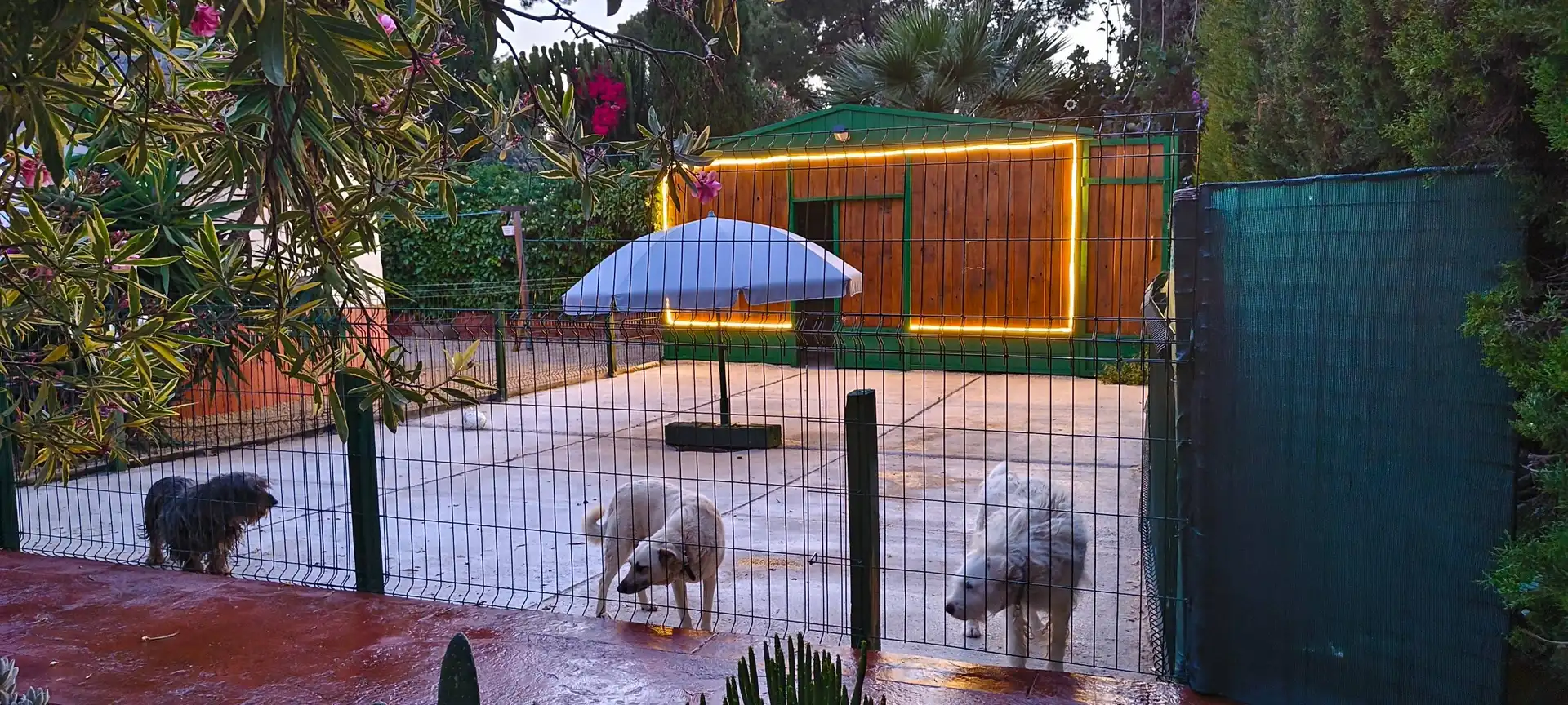 Garden of Houses for sale in San Vicente del Raspeig / Sant Vicent del Raspeig  with Heating, Terrace and Storage room