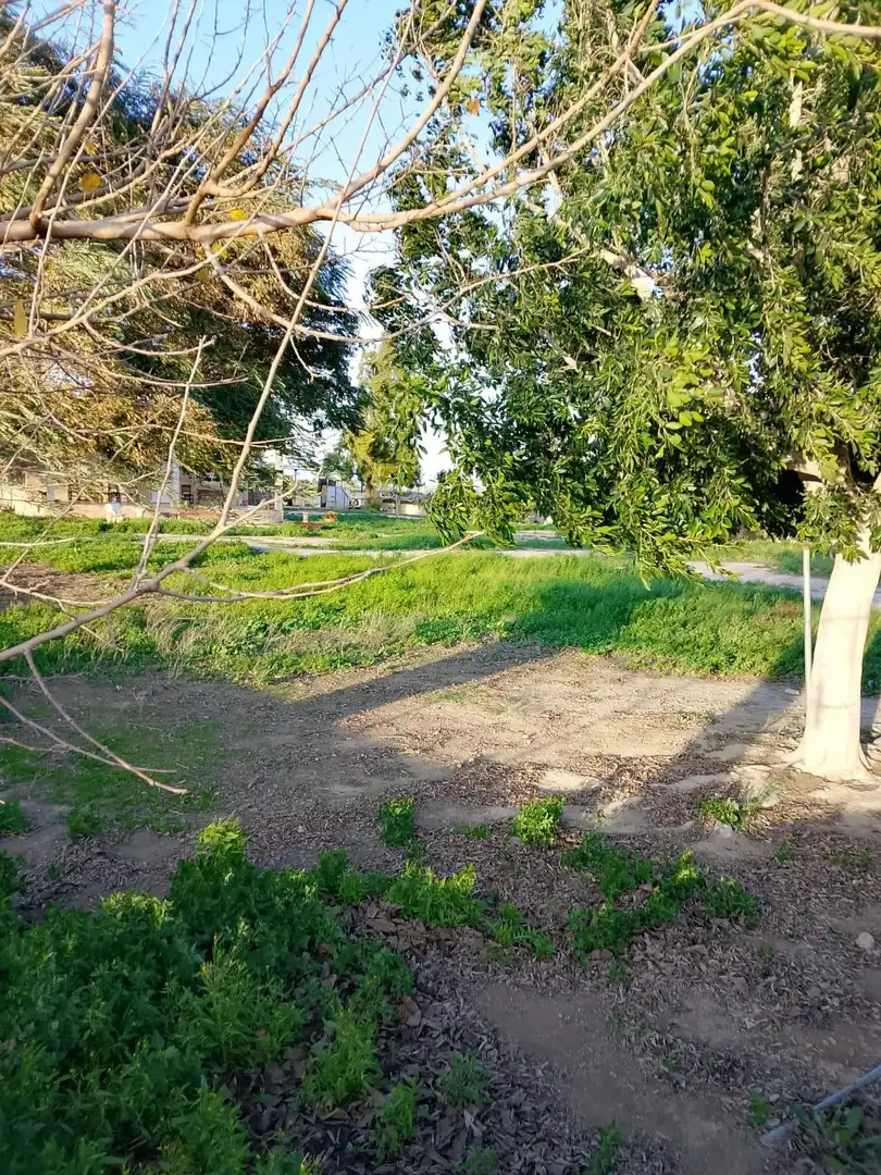 Finca rústica en venta en Daya Nueva