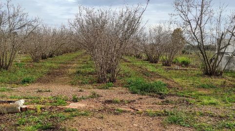 Foto 2 von Grundstücke zum Verkauf in N/a, -1, Vilallonga del Camp, Tarragona