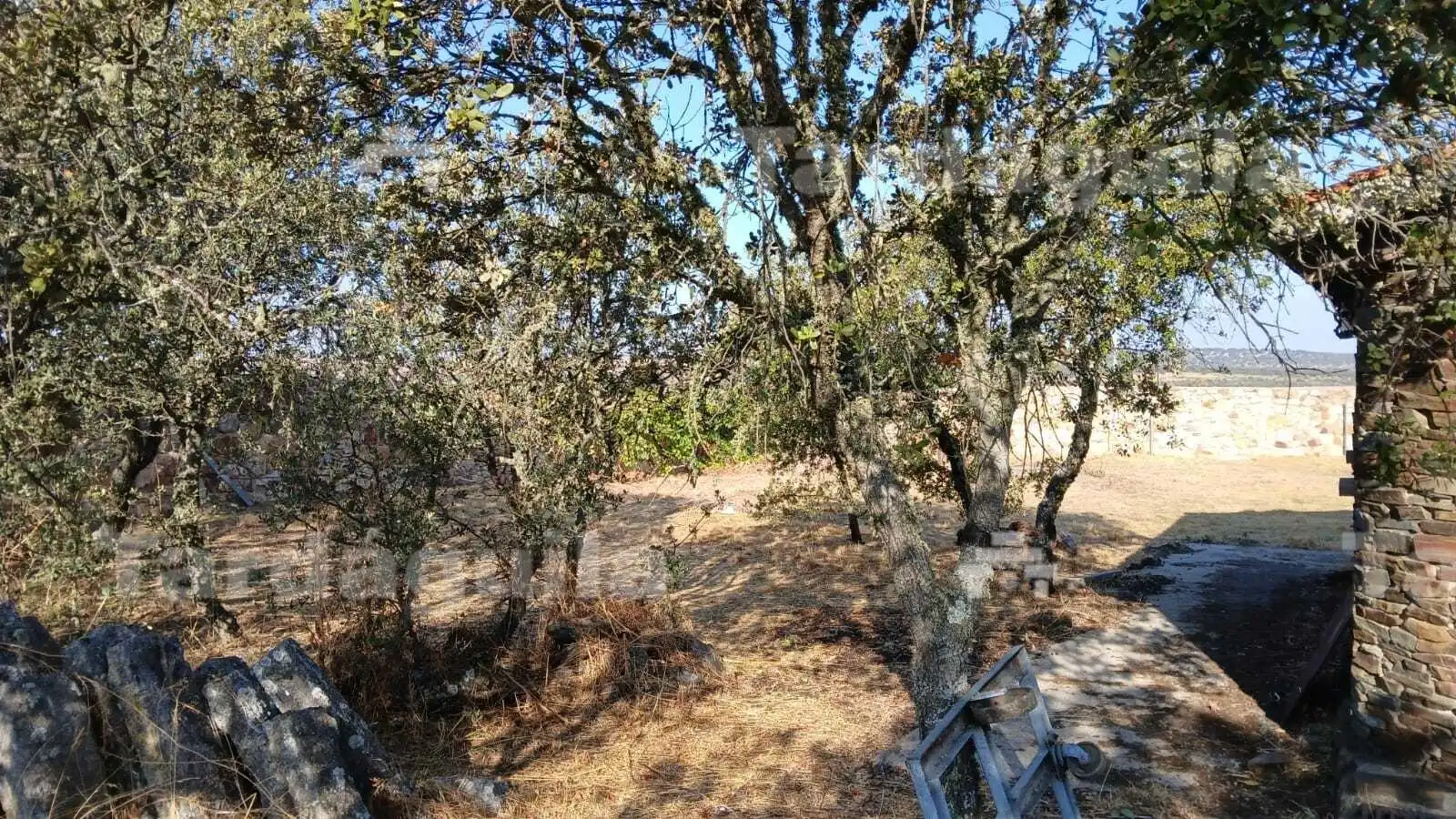 Casa o chalet en venta en Buenavista