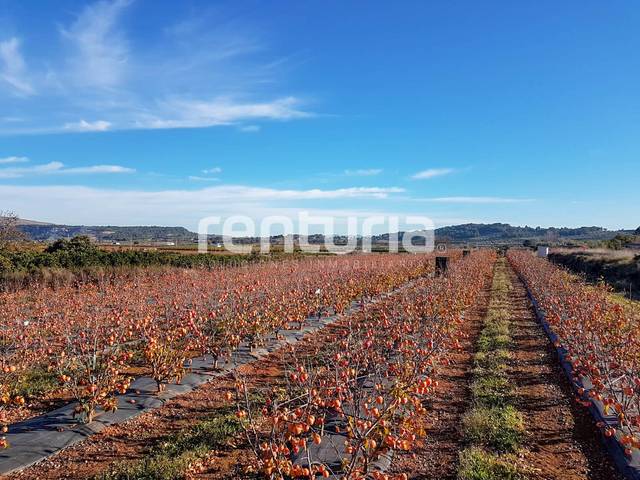 Terreno en Venta en Diseminado Poligono 5 en Anna