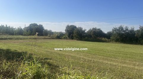 FINCA RÚSTICA A TÉRMENS., imatge 2