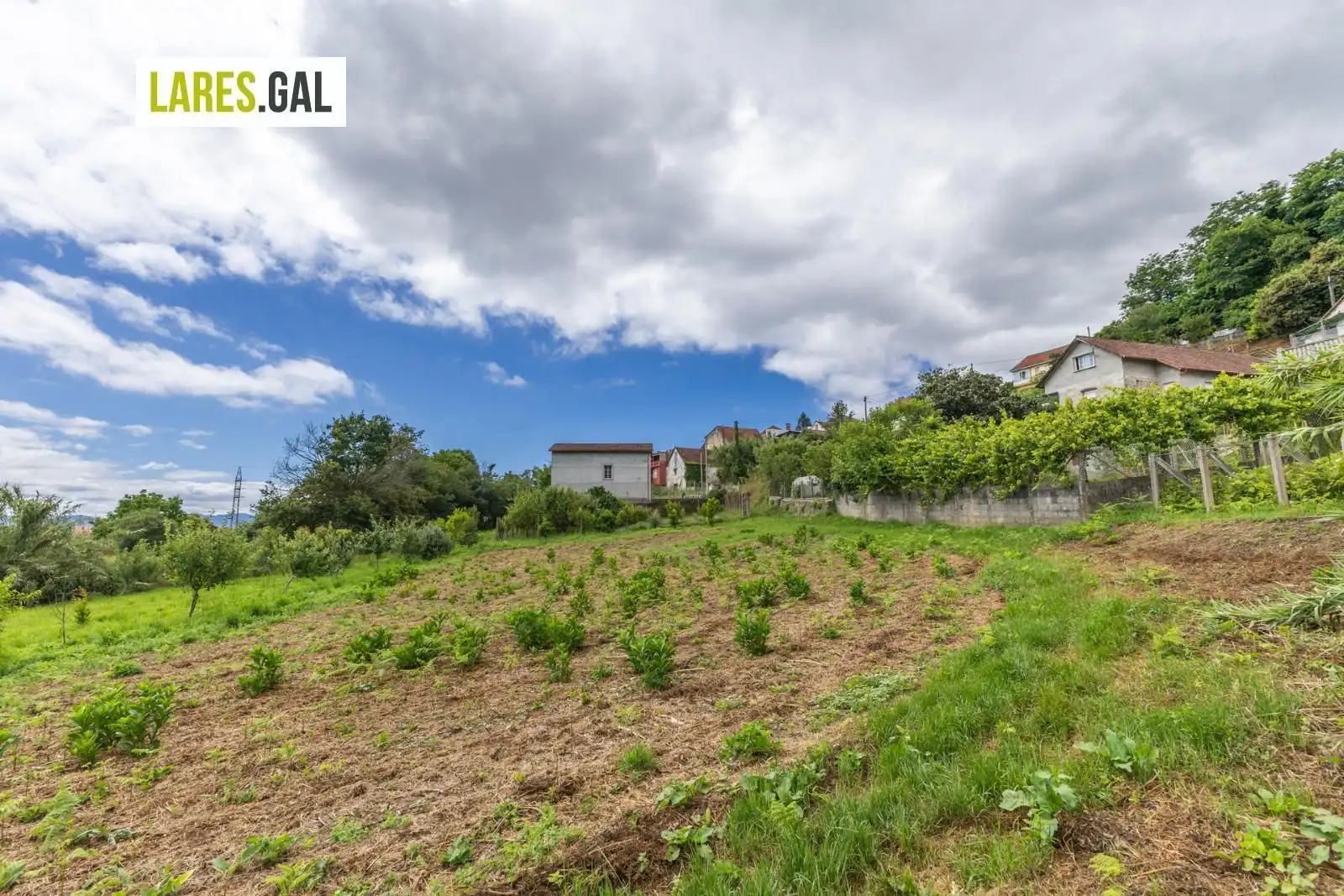 Terrain rustique à vendre à Lugar de Pozonegro, imagen 9