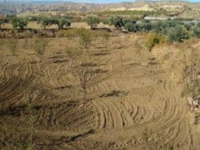 Grundstücke zum verkauf in Purullena