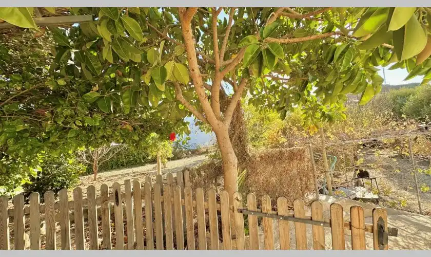 Detached house with garden for sale in Carboneras, imagen 38