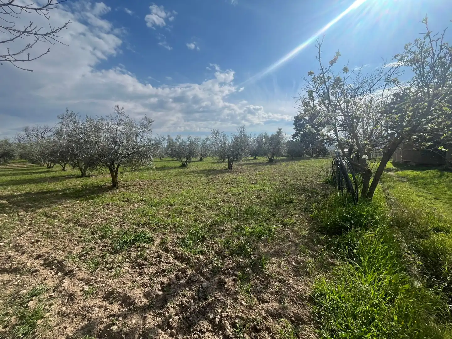 Land for sale in Dúrcal