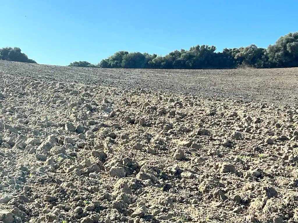Casa rústica en venda a Vejer, imagen 12