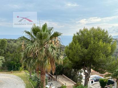 Jardí de Pis en venda en Lloret de Mar amb Jardí privat i Piscina comunitària