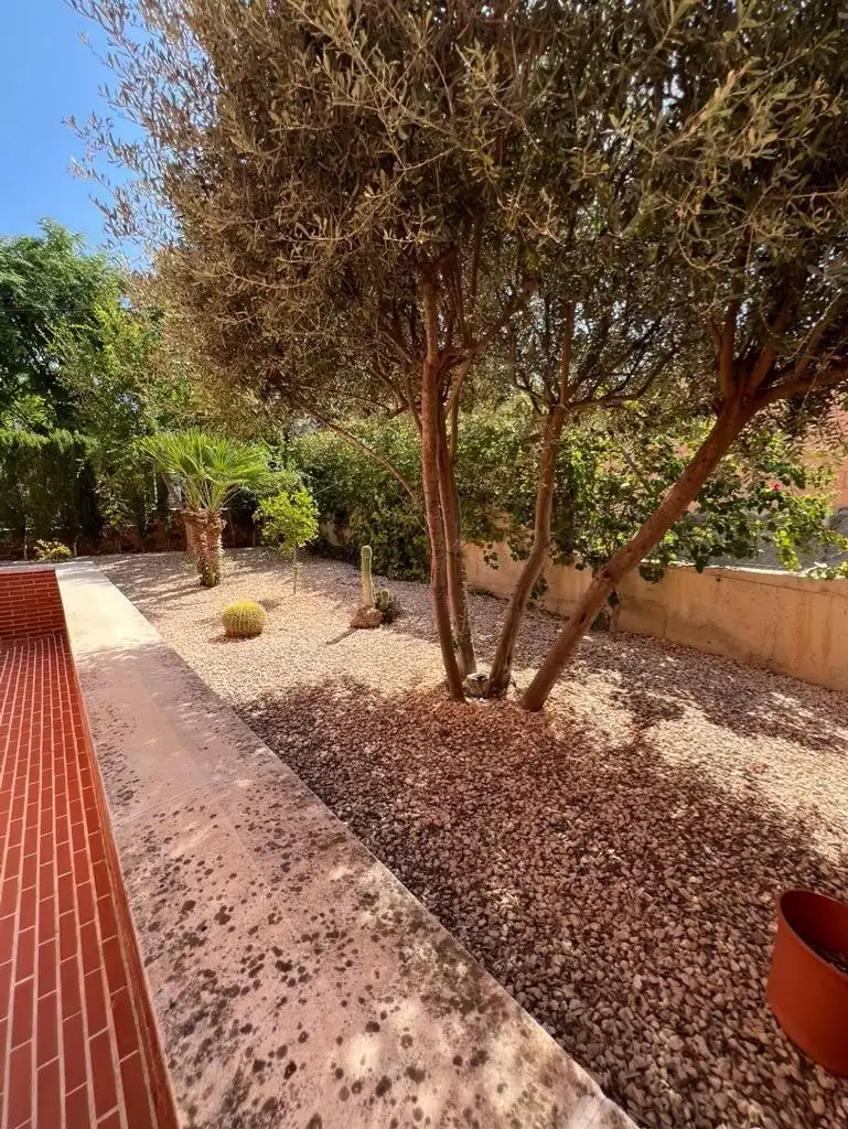 Jardí de Casa o xalet en venda en Las Torres de Cotillas amb Aire condicionat, Calefacció i Parquet