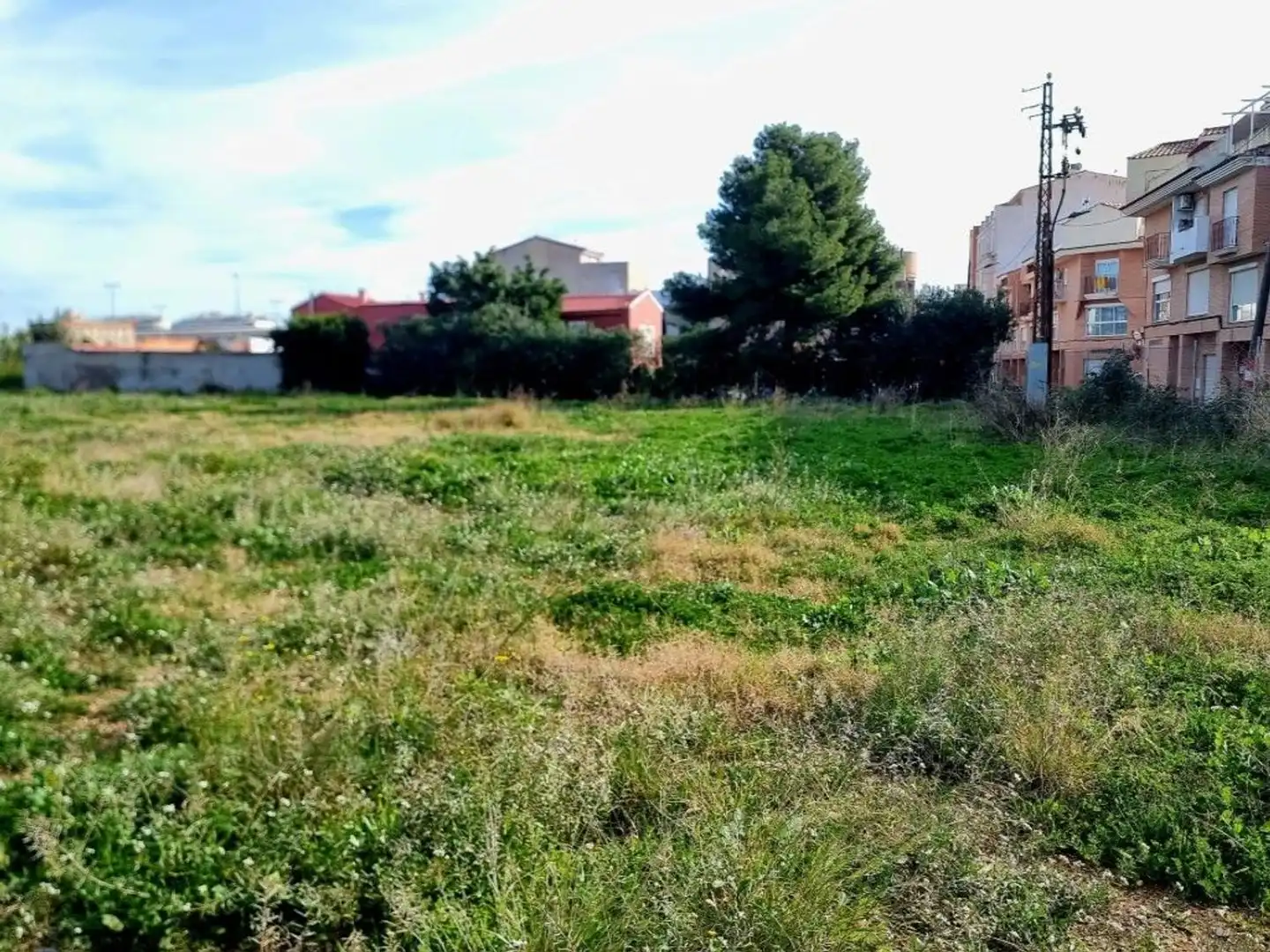 Terreny residencial en venda a Viejo Alcora, imagen 13