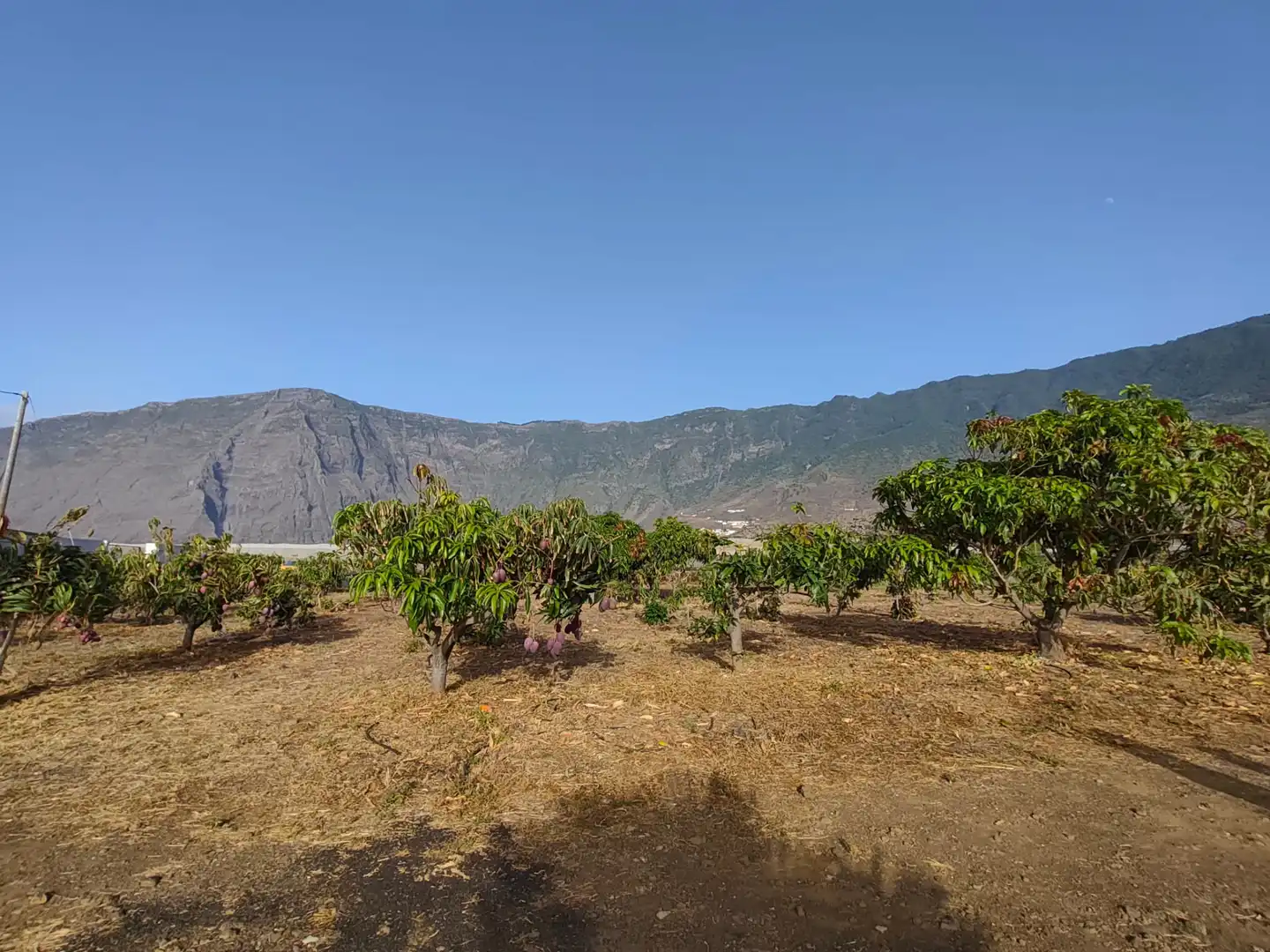 Finca rústica en venta en Frontera con Terraza, Amueblado y Horno