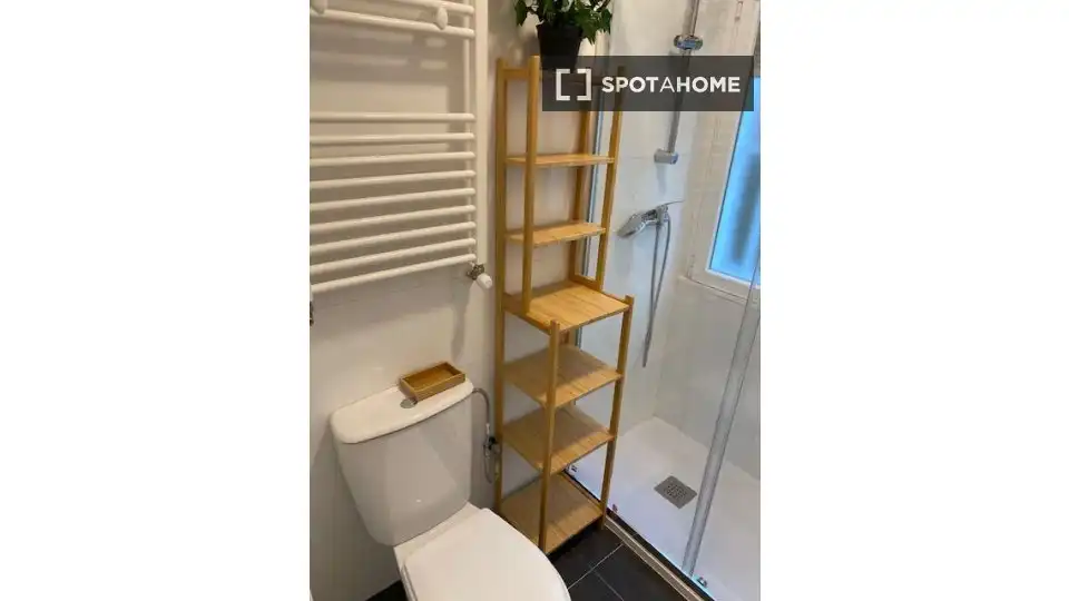 Bathroom of Flat for share in Madrid  with Air Conditioner, Terrace and Furnished