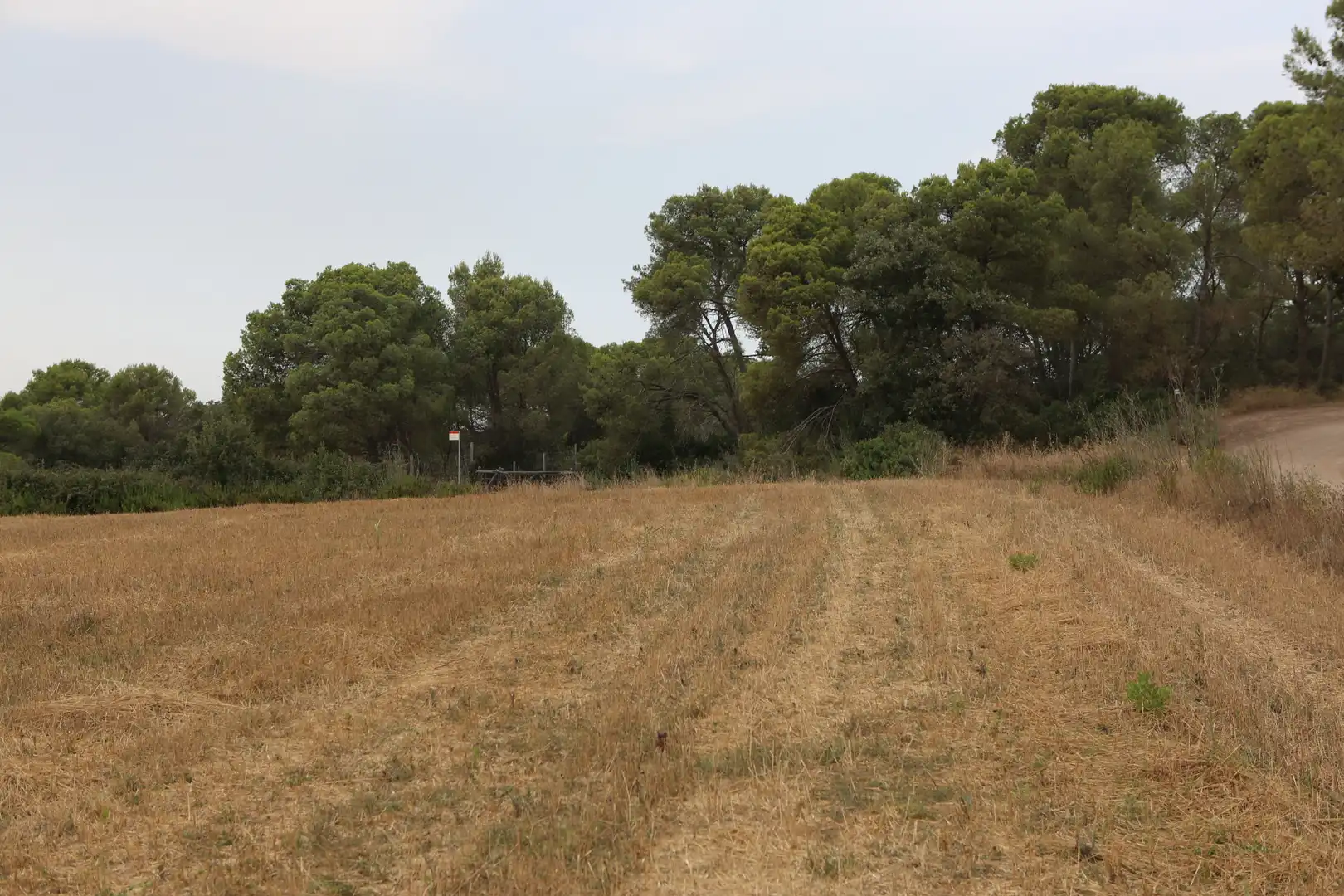 Finca rústica en venda en Begur amb Jardí privat