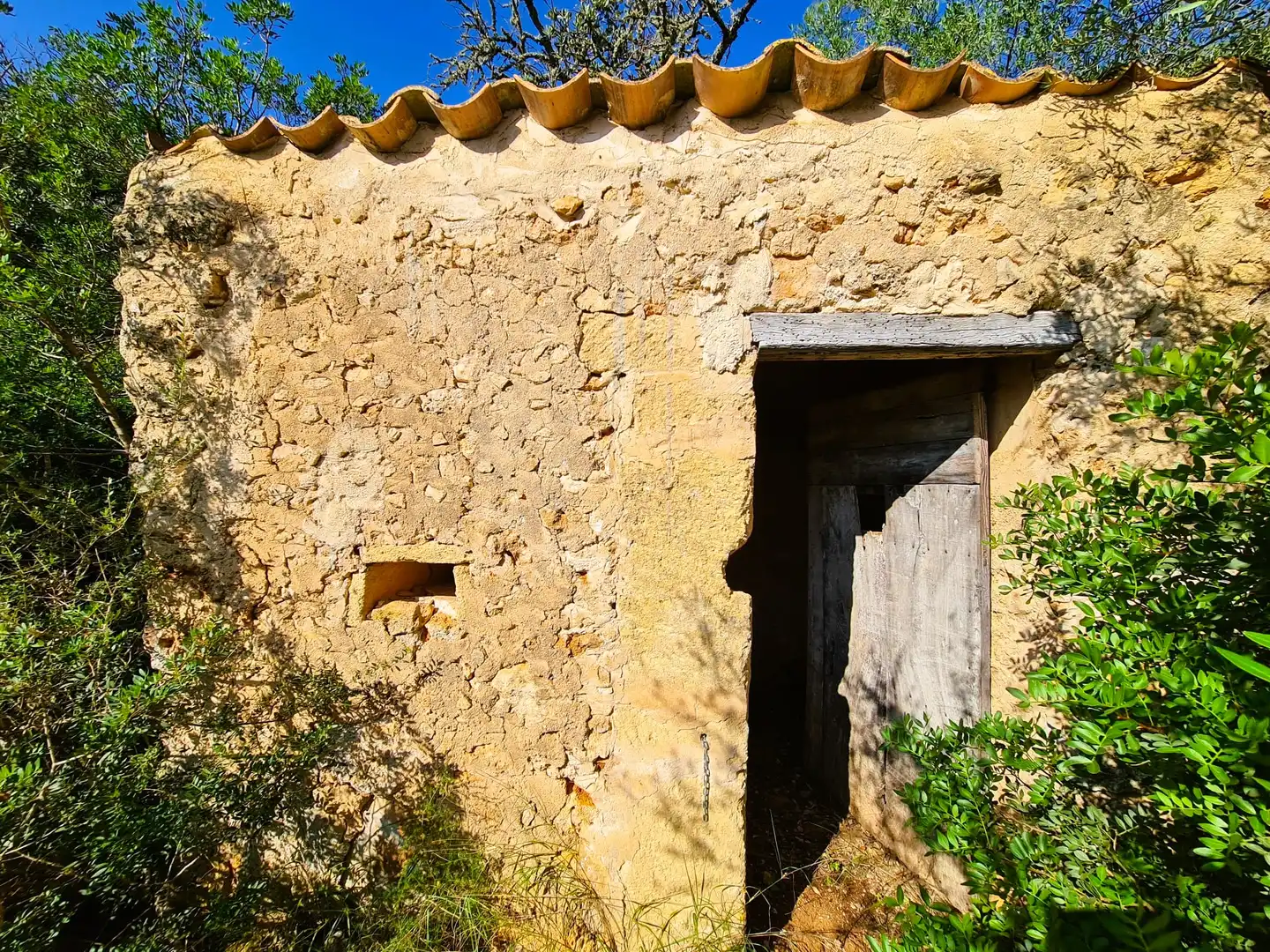 Terrain rustique à vendre à Costitx, imagen 18