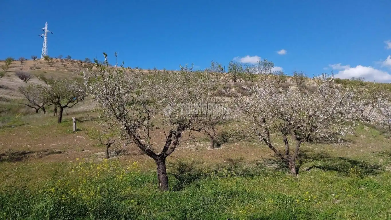Terreny en venda en Gójar