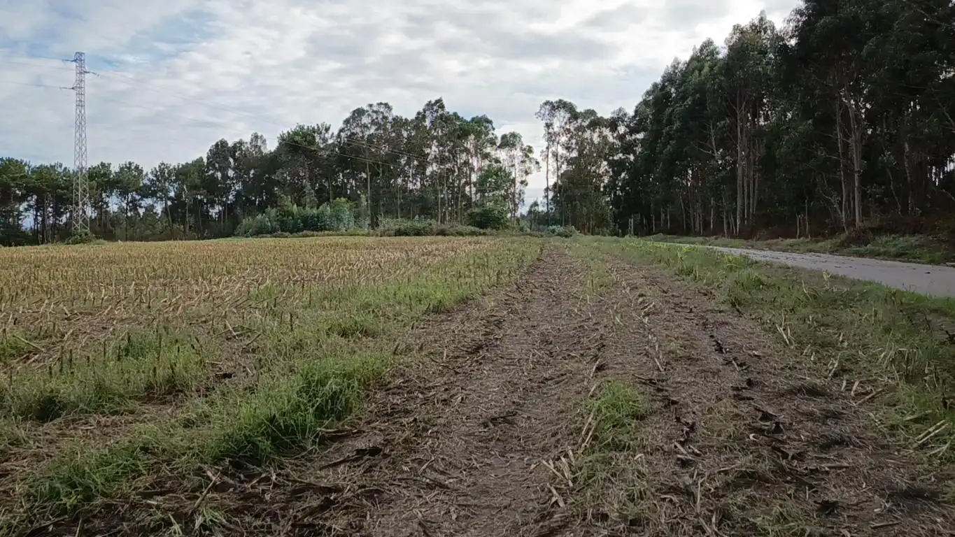 Terreno rústico en venta en Aldea Cabañas, imagen 13